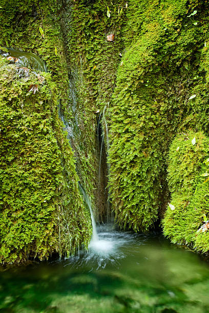 close-up di una cascata in laghi di plitvice, croazia - plitvice lakes national park water lake national park foto e immagini stock