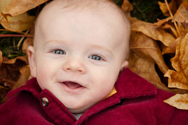 istock child laying down in leaves 182205024