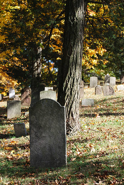 istock Blank Tombstone Near Tree In Cemetery 182205406