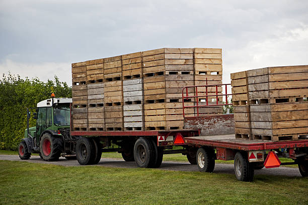 istock Orchard # 72 XXXL 182205503