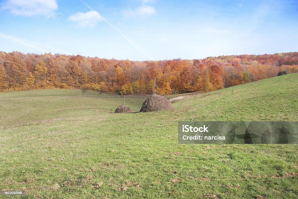 Rumänische ländliche Landschaft - Lizenzfrei Bildhintergrund Stock-Foto