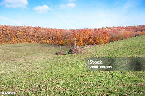 Rumänische Ländliche Landschaft Stockfoto und mehr Bilder von Bildhintergrund - Bildhintergrund, Blau, Fotografie