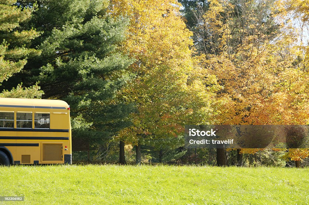 Zajęcia w terenie-żółty Autobus szkolny zaparkowany w jesień Las - Zbiór zdjęć royalty-free (Autobus szkolny)