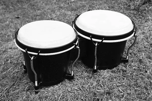 Bongo drums in black and white.
