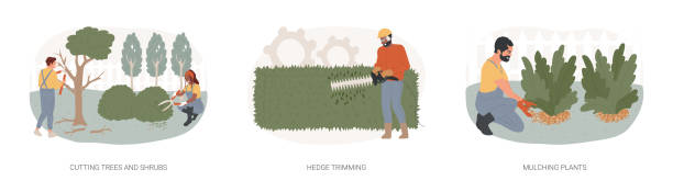 Garden works isolated concept vector illustration set. Garden works isolated concept vector illustration set. Cutting trees and shrubs, hedge trimming, mulching plants, weed control, landscape maintenance, broken branches, topiary vector concept. branch trimmers stock illustrations
