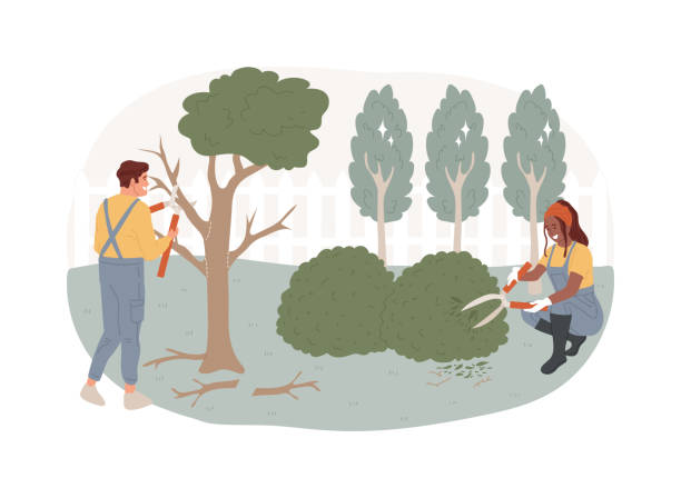 Cutting trees and shrubs isolated concept vector illustration. Cutting trees and shrubs isolated concept vector illustration. Gardening services, landscape maintenance, pruning, remove diseased, dead and broken branches, shape trees vector concept. branch trimmers stock illustrations