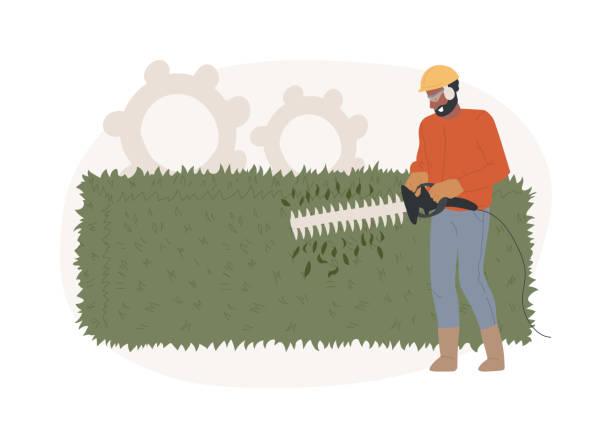 Hedge trimming isolated concept vector illustration. Hedge trimming isolated concept vector illustration. Hand shears, dead wood, remove branches, shape trees and shrubs, hedge clipper, landscape maintenance, laser level vector concept. branch trimmers stock illustrations