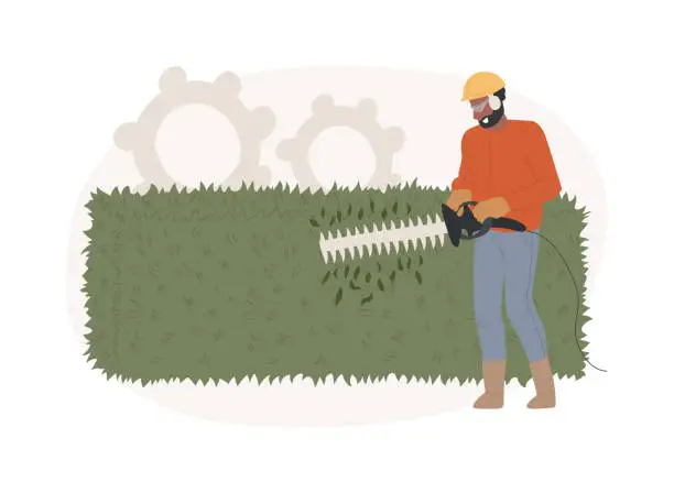 Vector illustration of Hedge trimming isolated concept vector illustration.