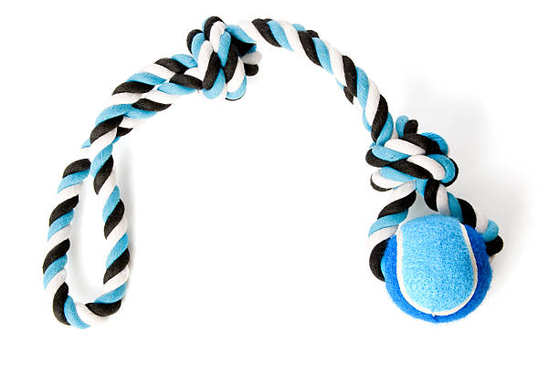 istock Brightly lit ball and rope toy for dogs 182206743