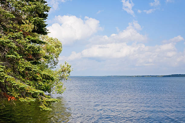 istock Trees on Edge of Lake 182207068