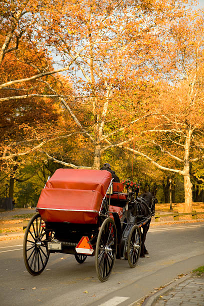 istock Central Park Hourse and Carriage During Autumn 182207373