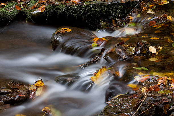Colorful autumn creek scene. stock photo