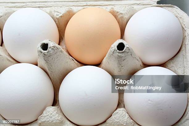Seis Ovos - Fotografias de stock e mais imagens de Branco - Branco, Caixa de Ovos, Castanho