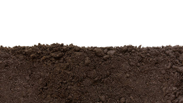 istock Soil patch texture isolated on a white background. Earth Day - April 22. Black biosoil or soil substrate in the form of a frame or border 1822080860
