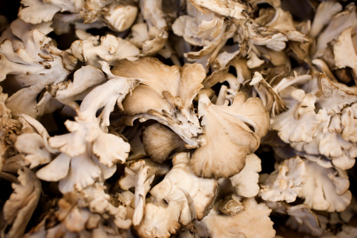 a large pile of maitake  or hen of the woods mushrooms on sale at the farmer's market