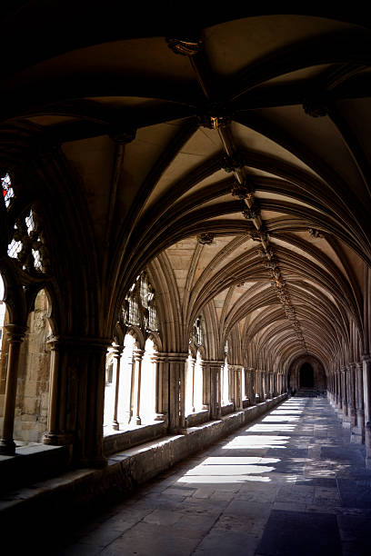 catedral de norwich cloisters en la luz del sol - iluminación de techo abovedado fotografías e imágenes de stock