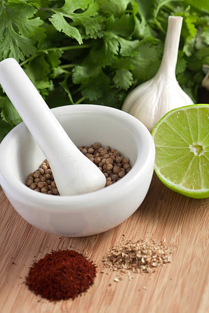 cibo messicano con erbe e spezie - mortar and pestle herb coriander seed cilantro foto e immagini stock