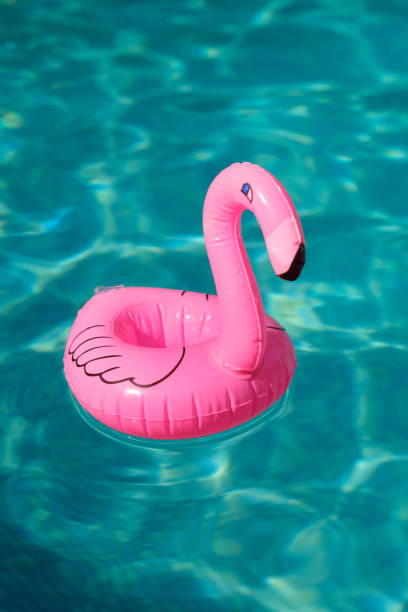 istock inflatable pink flamingo in the pool 1822086301