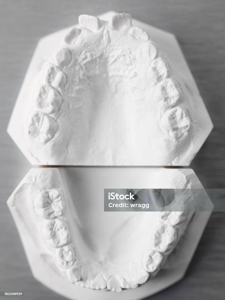 Orthodontics and Dentistry "Plaster cast of teeth, on a silver metal background.Copy spaceClick on the link below to see more of my dental images." Dental Equipment Stock Photo