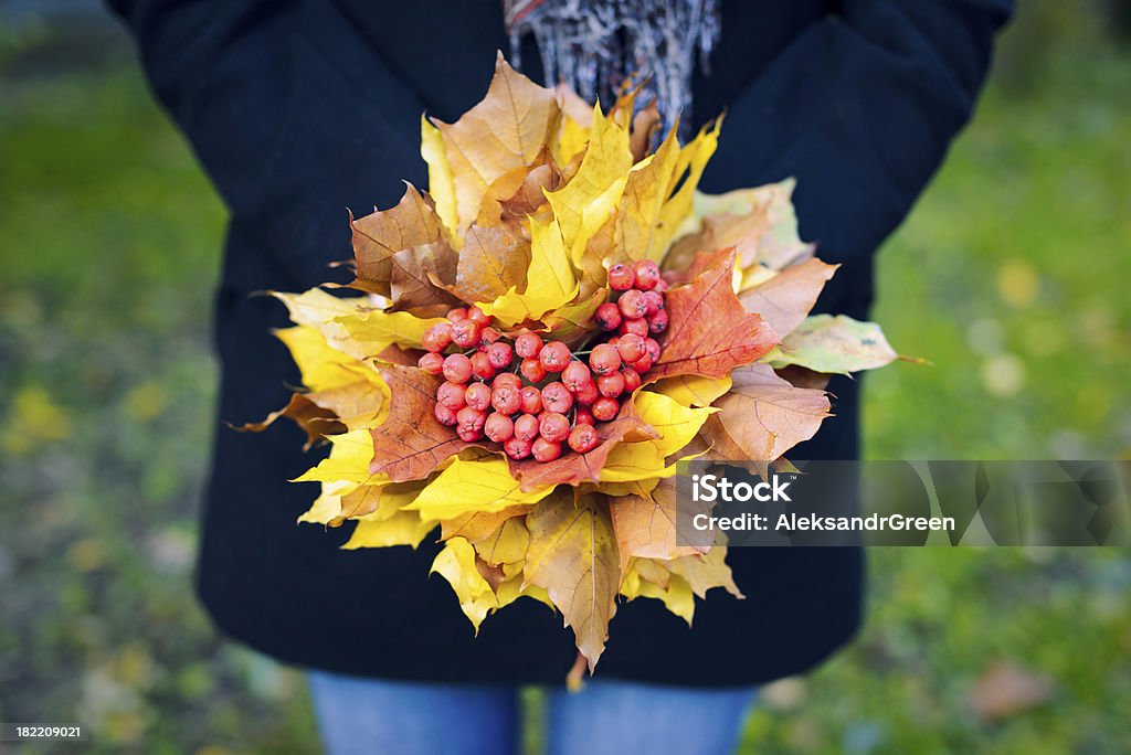 Femme tenant un bouquet de feuilles d'érable et mountain ash - Photo de 2000-2009 libre de droits