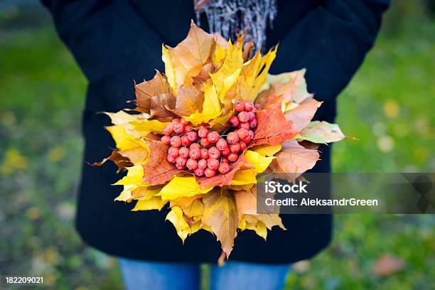 Photo libre de droit de Femme Tenant Un Bouquet De Feuilles Dérable Et Mountain Ash banque d'images et plus d'images libres de droit de 2000-2009