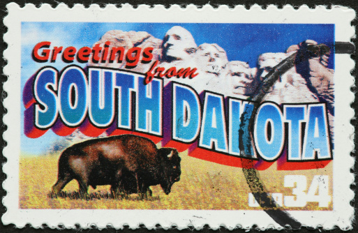 South Dakota bison and Mount Rushmore