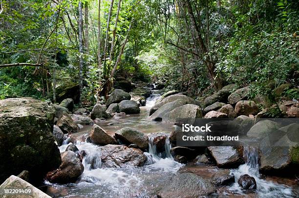 Bang Pae Wasserfall In Phuket Thailand Stockfoto und mehr Bilder von Asien - Asien, Bach, Farbbild