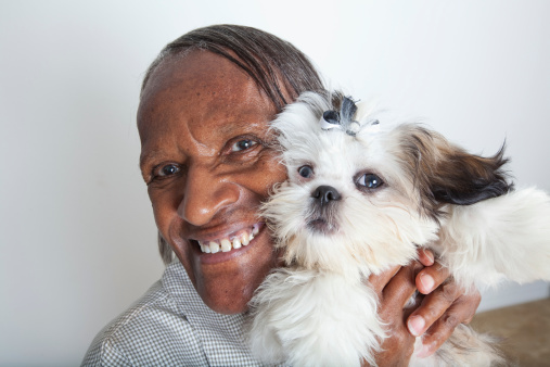 pet therapy with elderSeries representing how interaction with pets improves mental health.