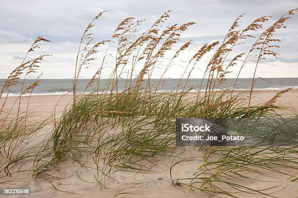Foto de Dune E O Mar e mais fotos de stock de Carolina do Norte - Estado dos EUA - Carolina do Norte - Estado dos EUA, Praia, Areia
