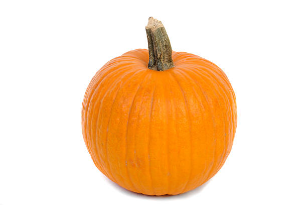 istock Autumn Perfect Single Pumpkin on White Background 182210644