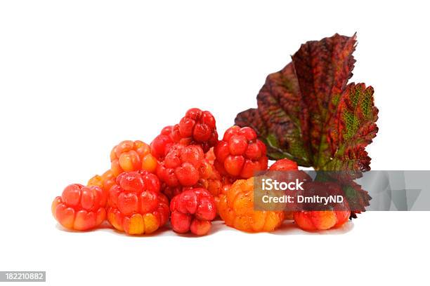 Cloudberry - Fotografias de stock e mais imagens de Cloudberry - Cloudberry, Fruta com Grão, Ártico