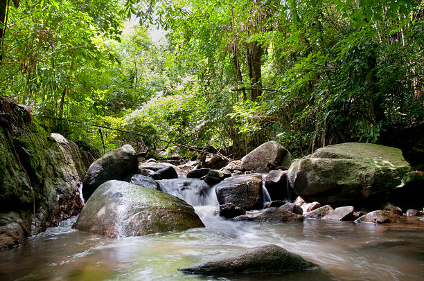 istock Bang Pae Waterfall In Phuket, Thailand 182211027