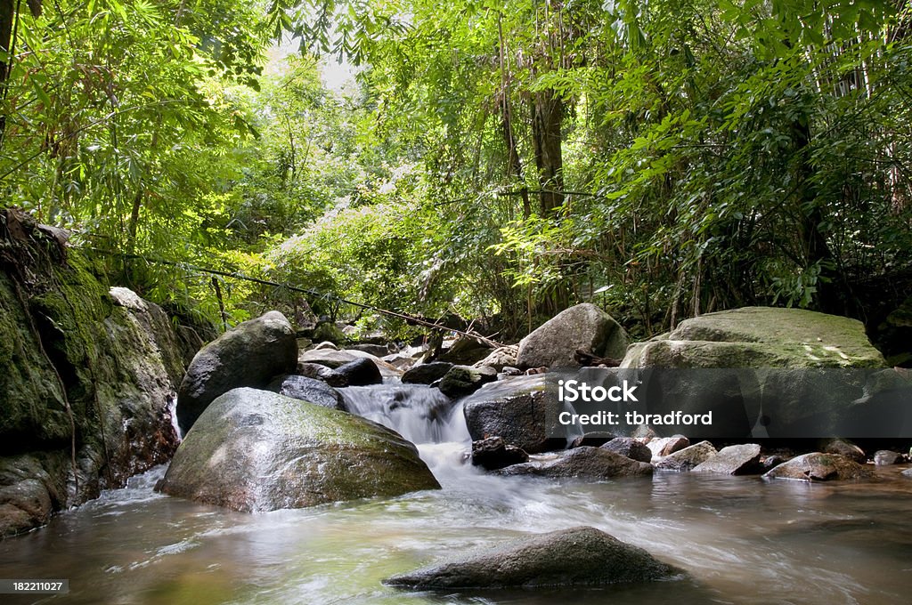 Bang Pae Wodospad w Phuket, Tajlandia - Zbiór zdjęć royalty-free (Wodospad)