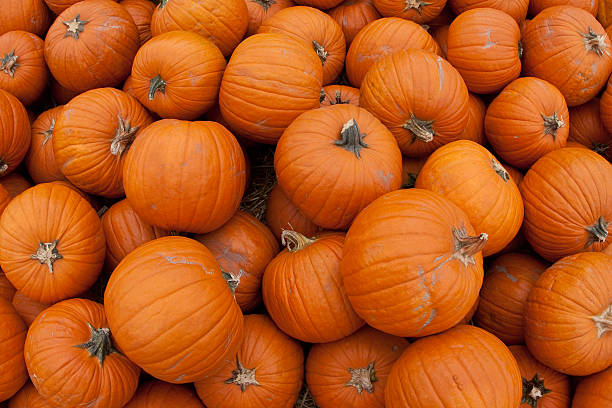 istock Big Ol' Pile o' Pumpkin 182211193