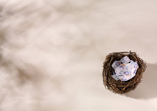istock Birds Nest with South African Rand 182211321