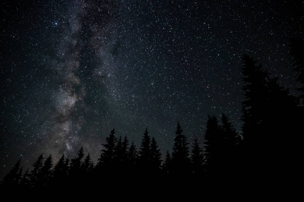 istock Milky Way Galaxy over the forest 1822114356