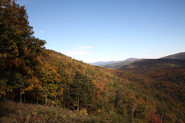 istock Shenandoah National Park Scenic Landscape 182211490