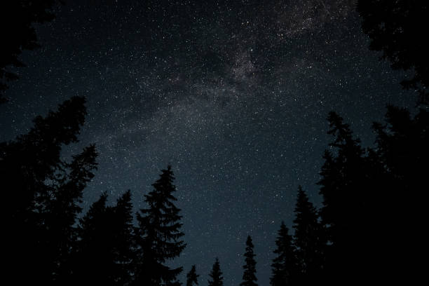 istock Milky Way Galaxy over the forest 1822114904