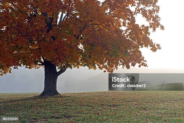 Lakefront Nublado No Outono - Fotografias de stock e mais imagens de Ao Ar Livre - Ao Ar Livre, Cais - Estrutura Feita pelo Homem, Cena de tranquilidade