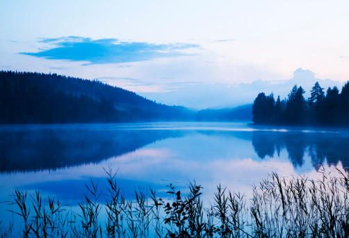 early morning mist creates mystical colors and feeling