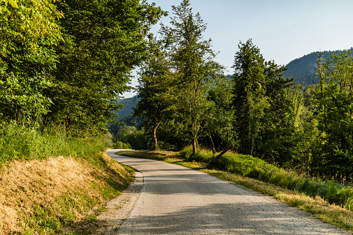 Photo Of Beautiful Road On Sunny Day In Slovenia