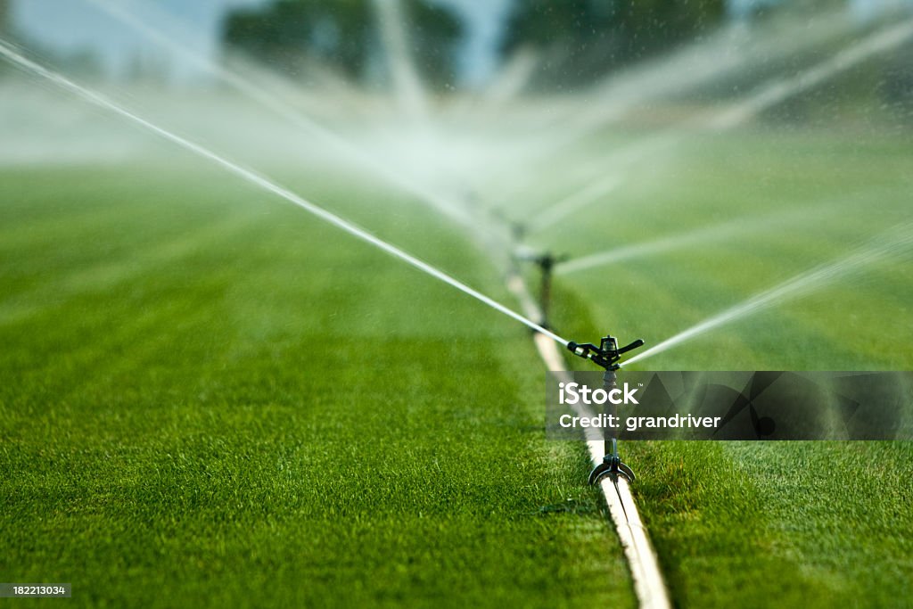 Lawn Sprinklers Sprinklers on a big expanse of grass with focus on the first one. Sprinkler Stock Photo