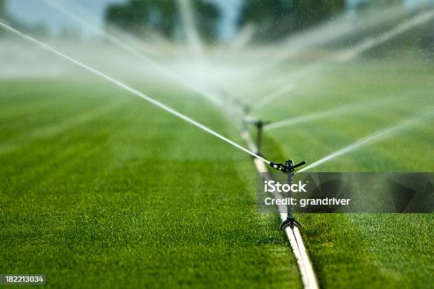 Lawn Sprinklers Stock Photo - Download Image Now - Sprinkler, Fun, Growth