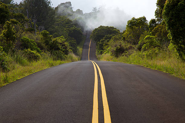 strada nella nebbia - road marking road reflector road dividing line foto e immagini stock