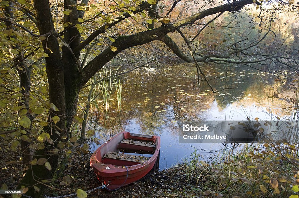 Lago de floresta. - Royalty-free Ao Ar Livre Foto de stock