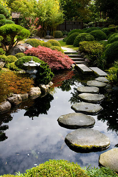 giardino orientale - nature japanese garden formal garden ornamental garden foto e immagini stock