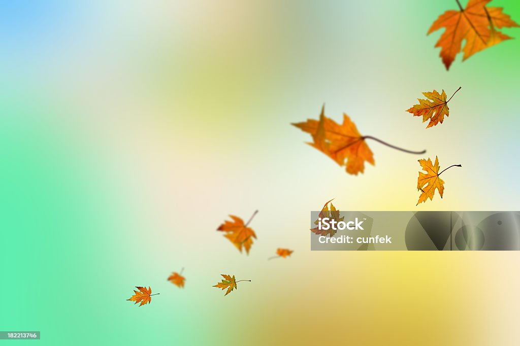 Colorato autunno - Foto stock royalty-free di Ambientazione esterna