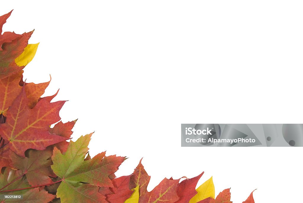 Осень листья границы (изолированные на белом) — III - Стоковые фото Без людей роялти-фри