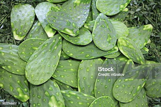 Nopal - Fotografias de stock e mais imagens de Opuntia erinacea - Opuntia erinacea, América Latina, Comida