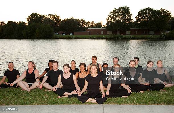 Yogakollektion Real Menschen Stockfoto und mehr Bilder von Afrikanischer Abstammung - Afrikanischer Abstammung, Afro-amerikanischer Herkunft, Asiatischer und Indischer Abstammung